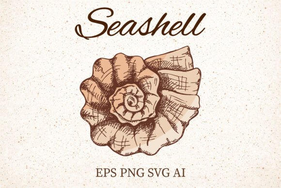 Download Vintage Spiral Seashell Clipart - Premium Bundle