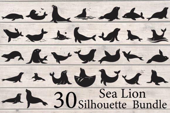 Download Sea Lion Silhouette Bundle - Premium Resources