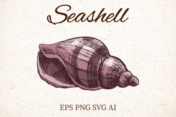 Download Vintage Seashell Clipart Illustration - Premium Bundle