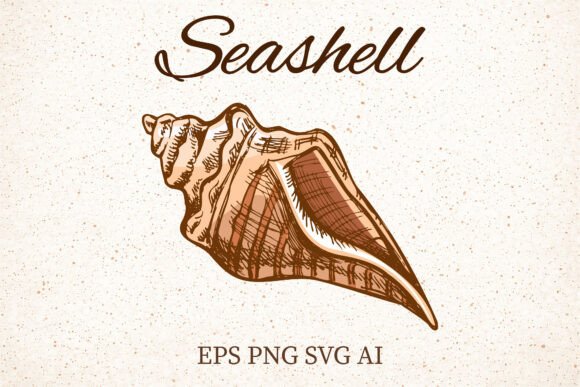 Download Vintage Seashell Clipart Illustration - Premium Bundle