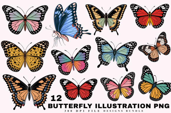 Download Colorful Butterfly Illustration PNG - Illustration Collection