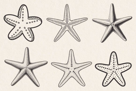 Download Dotted Starfish SVG Bundle, Summer Svg - Premium Resources